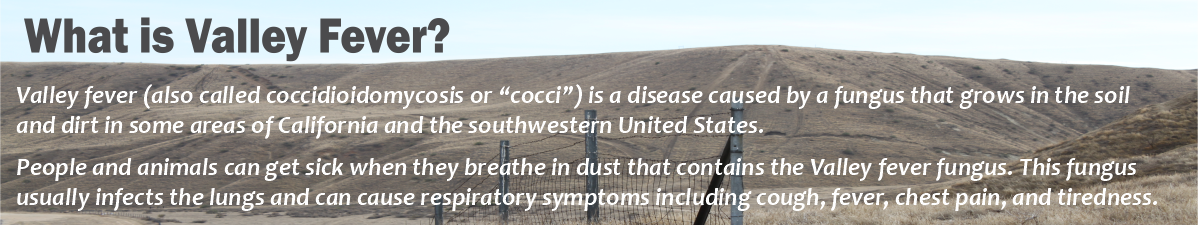 What is Valley Fever? Valley Fever (also called coccidioidomycosis or "cocci") is a disease caused by a fungus that grows in the soil and dirt in some areas of California and the southwestern United States. People and animals can get sick when they breathe in dust that contains the Valley Fever fungus. This fungus usually infects the lungs and can cause respiratory symptoms including cough, fever, chest pain, and tiredness.