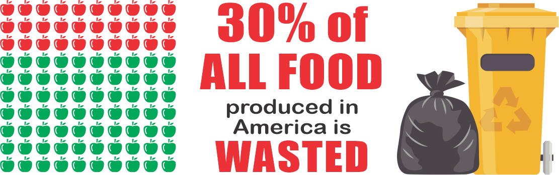 30% of all food produced in America is wasted