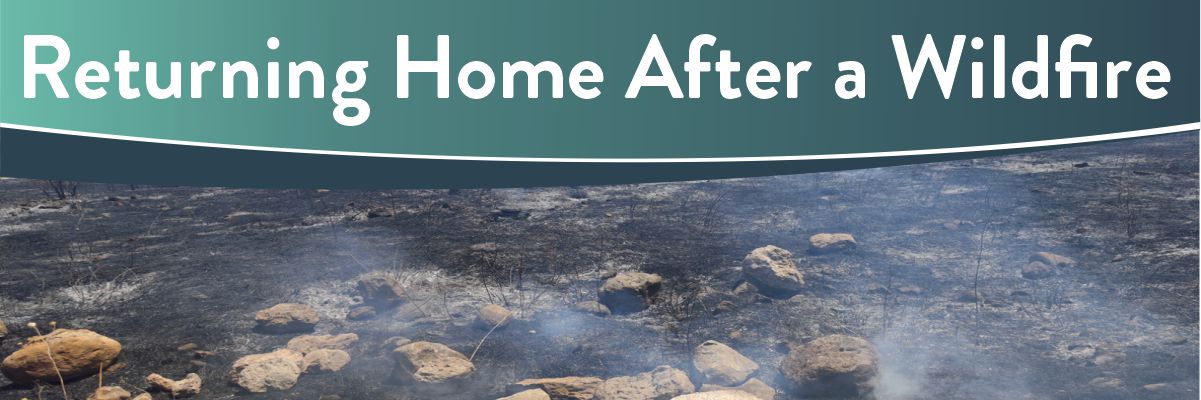 Returning Home After a Wildfire